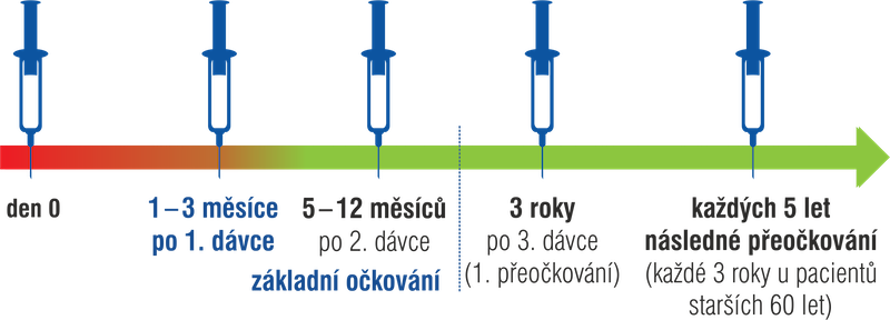 fsme1 ockovaci schema